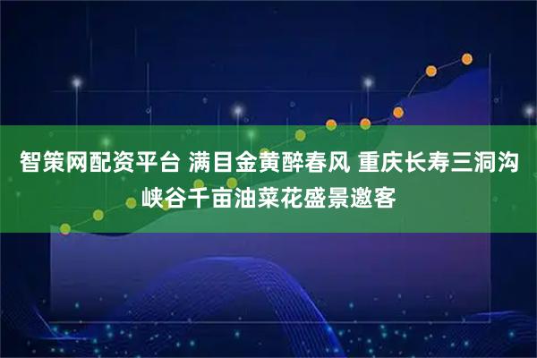 智策网配资平台 满目金黄醉春风 重庆长寿三洞沟峡谷千亩油菜花盛景邀客