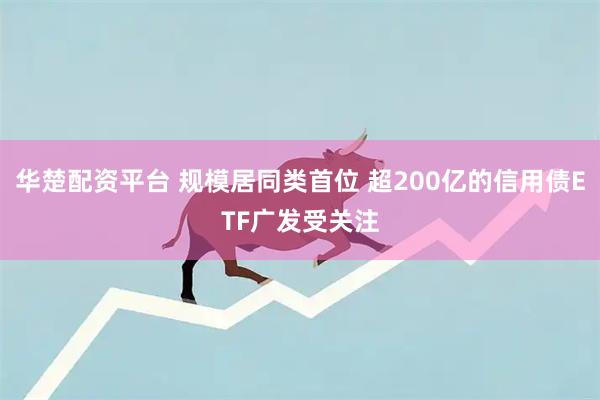 华楚配资平台 规模居同类首位 超200亿的信用债ETF广发受关注